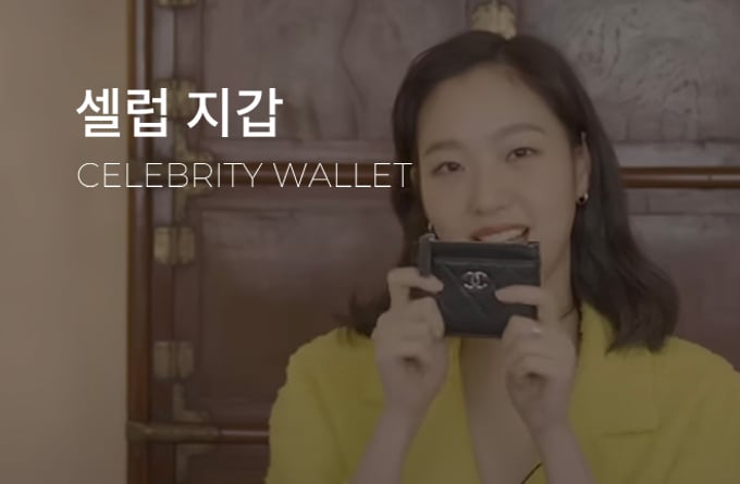 셀럽 지갑